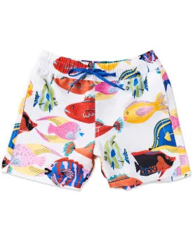 Kip & Co | Fishy Business Boardies